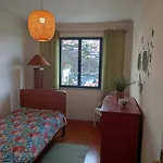 Silvestre Freitas Apartamento