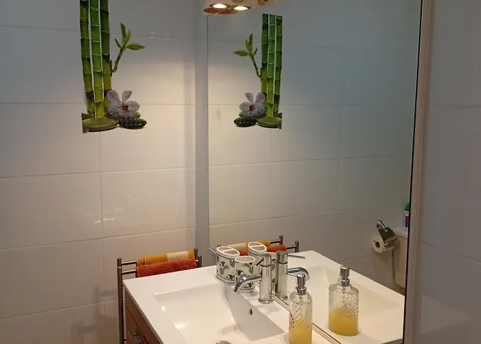 Silvestre Freitas فونشال